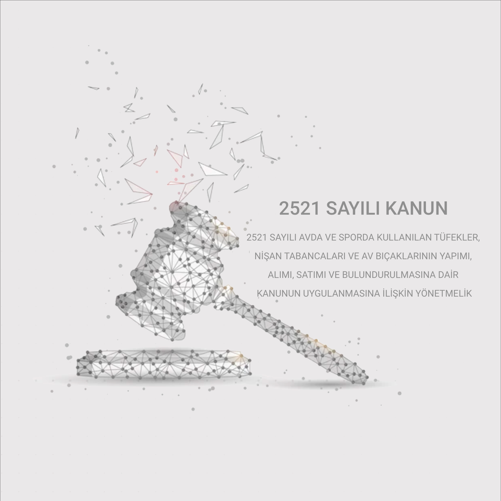 2521 Sayılı Kanun